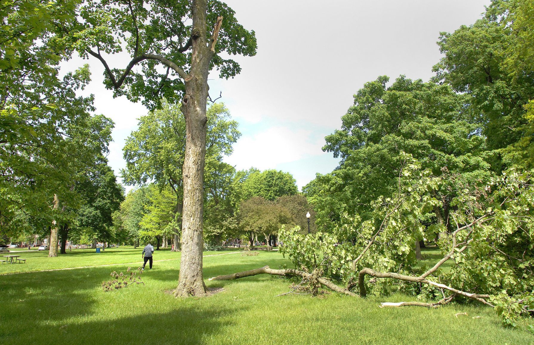 052419-blm-loc-10storm